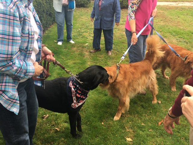 Annual Blessing of Animals