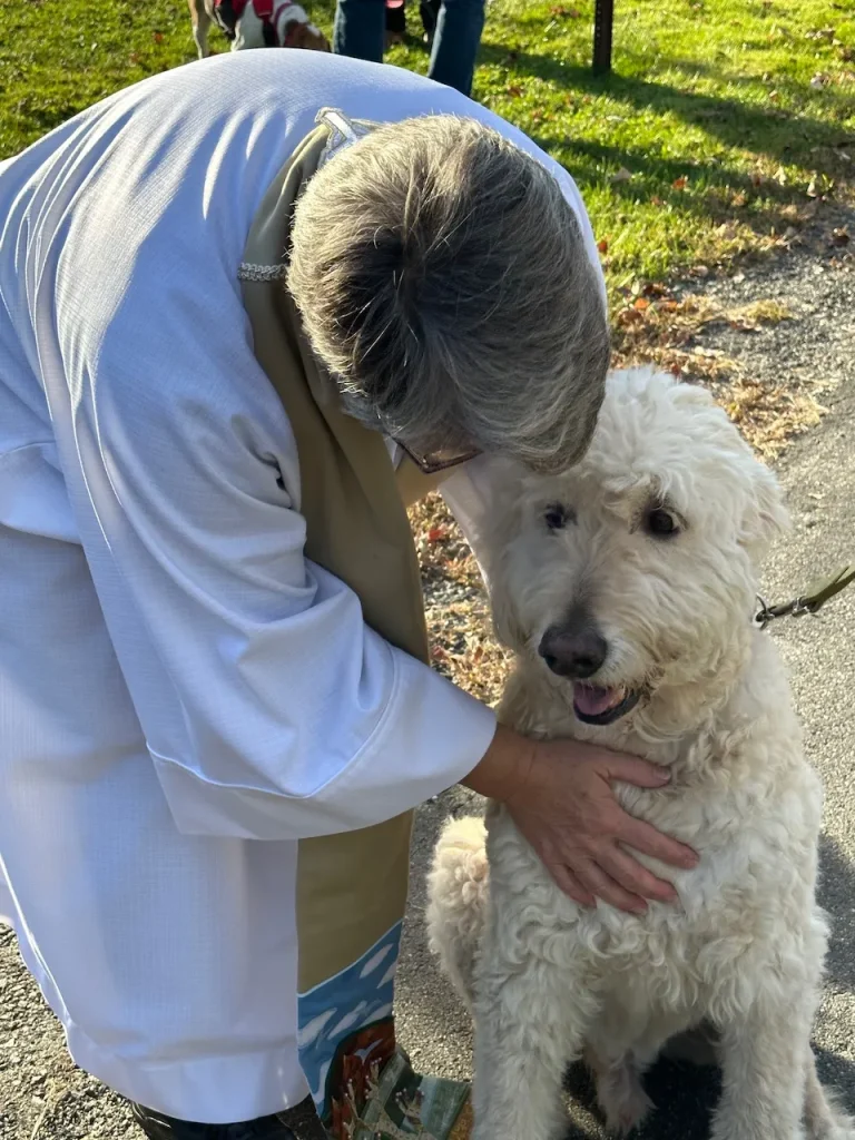 Blessing the Animals